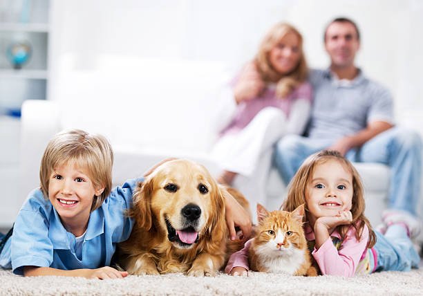 Pet Exposure Adolescent Mental Health